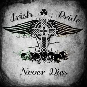 Meet your Posher, Bob